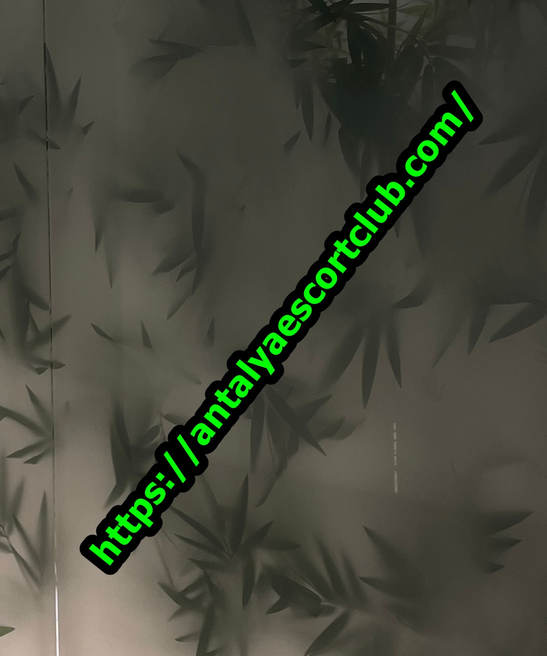 Travesti Mine Otele Geliyor